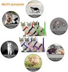 Morices Adjustable Cat Harness and Leash Set