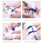 Morices Adjustable Cat Harness and Leash Set