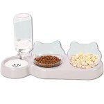 Cat Food and Water Bowl Set with Stand