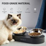 Elevated Stainless Steel Cat Bowls with Stand