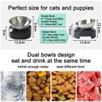 PewinGo Elevated Cat Bowl with Stainless Steel Feeder