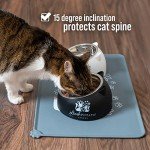 Raised Cat Bowls & Accessories Kit (Black/White)