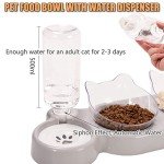 Cat Food and Water Bowl Set with Stand