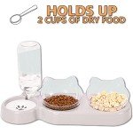 Cat Food and Water Bowl Set with Stand
