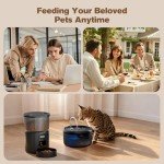 Automatic Cat Feeder & Water Fountain Combo