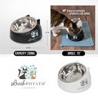 Raised Cat Bowls & Accessories Kit (Black/White)