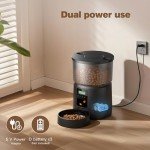 Automatic Cat Feeder & Water Fountain Combo