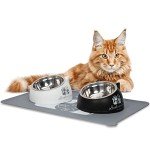 Raised Cat Bowls & Accessories Kit (Black/White)