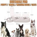 Cat Food and Water Bowl Set with Stand