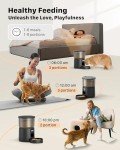 Smart Automatic Cat Feeder with Timer and Voice