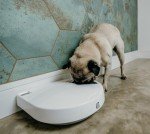 Cat Mate C500 Automatic 5-Bowl Pet Feeder