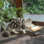 FUKUMARU Elevated Cat Bowls with Bamboo Stand