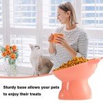 Elevated 3-Pack Cat Feeding Bowls – Anti-Vomit