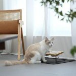 FUKUMARU Elevated Cat Bowls with Bamboo Stand