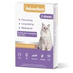 Natural Flea and Tick Control for Cats