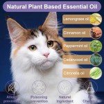 Natural Flea and Tick Control for Cats