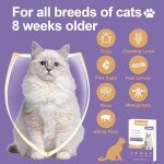 Natural Flea and Tick Control for Cats