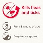 FIPROtec Flea & Tick Treatment for Cats