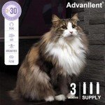 Natural Flea and Tick Control for Cats