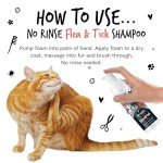 Bugalugs Neem Oil Cat Shampoo for Fleas & Ticks