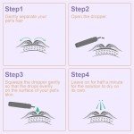 Natural Flea and Tick Control for Cats