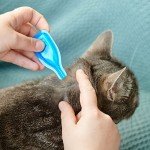 FIPROtec Spot-On Flea & Tick Treatment for Cats