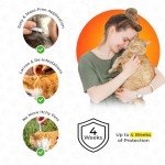 Cat Flea & Tick Spot-On Treatment - 2 Pack