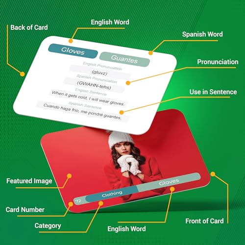 Spanish Vocabulary Flashcards for Beginners - 300 Cards