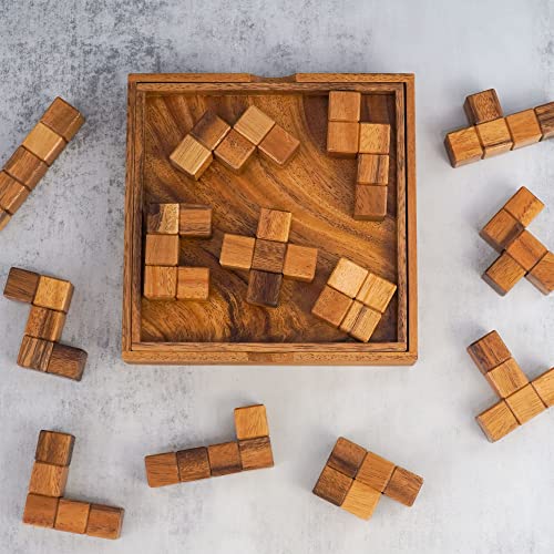 Pentominoes Logic Puzzle - Fun Brain Teaser