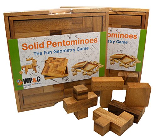 Wooden Pentominoes Brain Teaser Puzzle Set