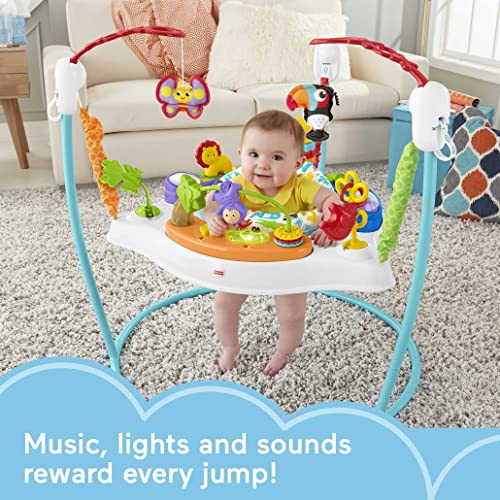 Fisher-Price Animal Activity Jumperoo