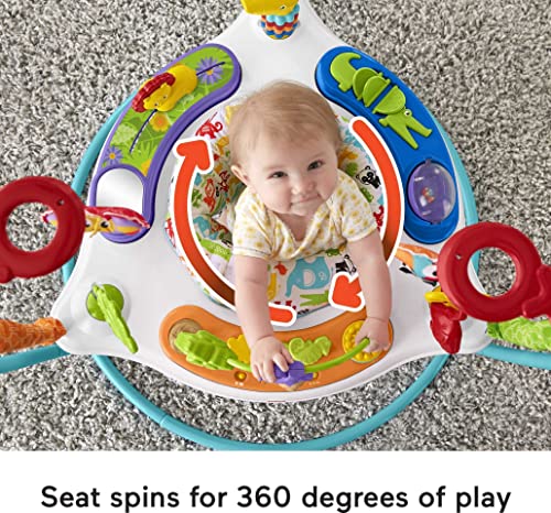 Fisher-Price Animal Activity Jumperoo