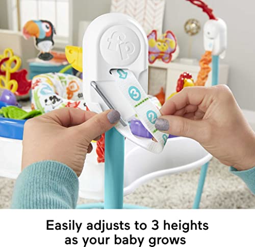 Fisher-Price Animal Activity Jumperoo
