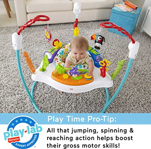 Fisher-Price Animal Activity Jumperoo