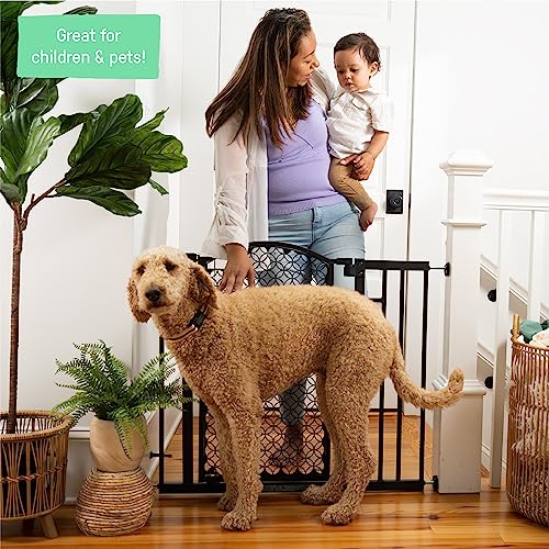 Summer Modern Home Decorative Walk-Thru Baby Gate, Metal with Bronze Finish, Decorative Arched Doorway  30 Tall, Fits Openings up to 28 to 42 Wide, Baby and Pet Gate for Doorways and Stairways
