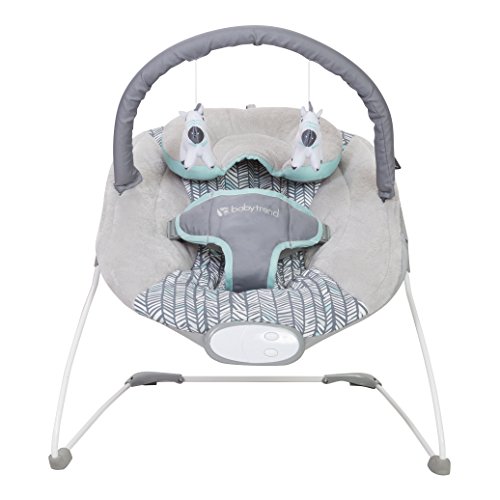 Baby Trend EZ Bouncer, Ziggy