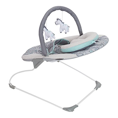 Baby Trend EZ Bouncer, Ziggy