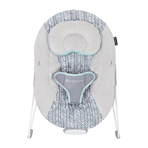 Baby Trend EZ Bouncer, Ziggy