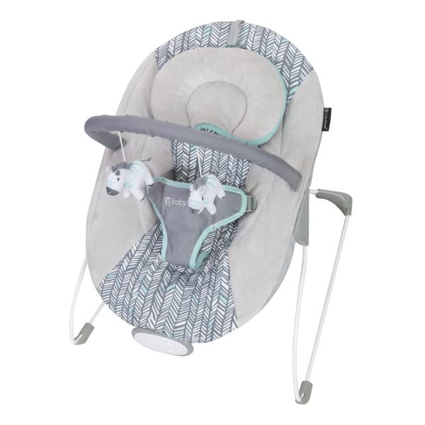 Baby Trend EZ Bouncer, Ziggy