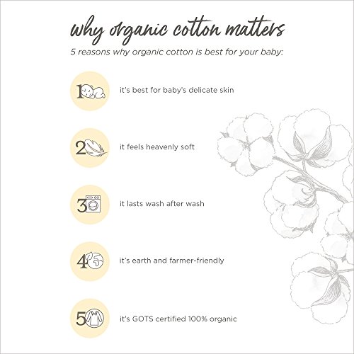 Burt's Bees Baby - Fitted Crib Sheet, Solid Color, 100% Organic Cotton Crib Sheet for Standard Crib and Toddler Mattresses (Heather Grey)