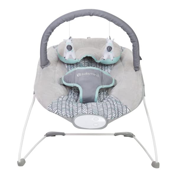 Baby Trend EZ Bouncer, Ziggy