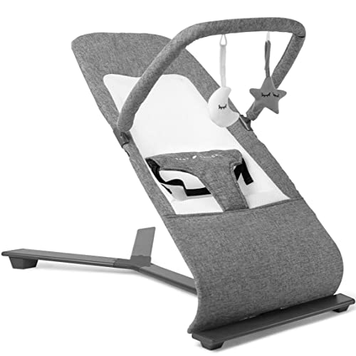 Baby Delight Go With Me Alpine Deluxe Portable Bouncer, Charcoal Tweed