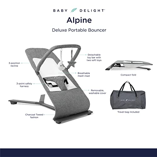 Baby Delight Go With Me Alpine Deluxe Portable Bouncer, Charcoal Tweed
