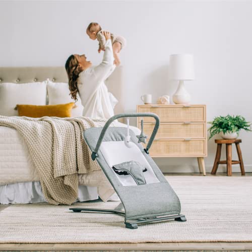 Baby Delight Go With Me Alpine Deluxe Portable Bouncer, Charcoal Tweed