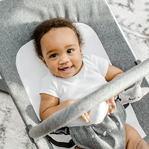 Baby Delight Go With Me Alpine Deluxe Portable Bouncer, Charcoal Tweed