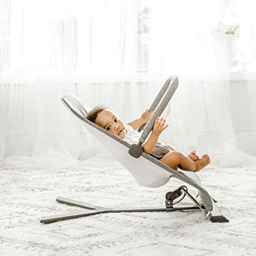 Baby Delight Go With Me Alpine Deluxe Portable Bouncer, Charcoal Tweed