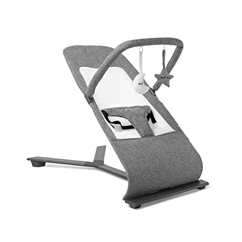 Baby Delight Go With Me Alpine Deluxe Portable Bouncer, Charcoal Tweed