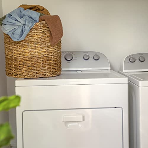 Ingenuity Boutique Collection Swing 'n Go Portable Swing - Bella Teddy