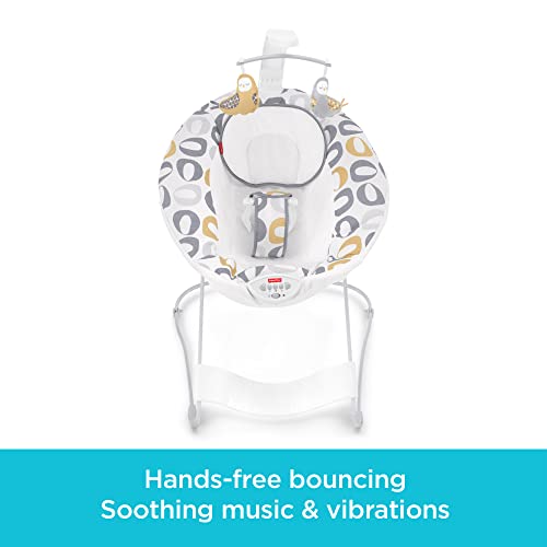 Fisher-Price See & Soothe Deluxe Bouncer