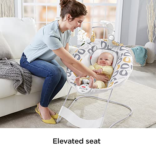 Fisher-Price See & Soothe Deluxe Bouncer
